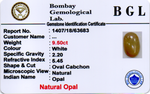 Opal - 9.50 Carats