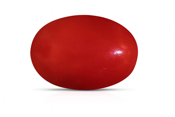 Red Coral