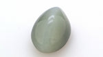 Cats  Eye 