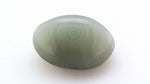 Cats  Eye 