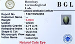 Cats Eye Certificate