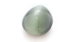 Cats Eye 