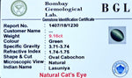 Cats Eye Certificate