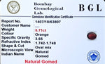 Hessonite Certificate