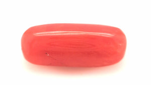 Red Coral 