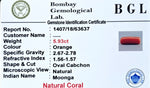 Red Coral Certificate