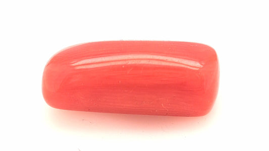 Red Coral 