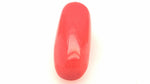 Red Coral 