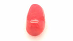 Red Coral 