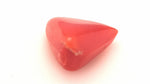 Red Coral 