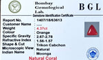 Red Coral Certificate