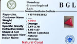 Red Coral Certificate