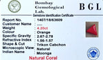Red Coral Certificate