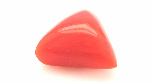 Red Coral 
