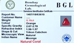 Red Coral Certificate