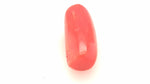 Red Coral 