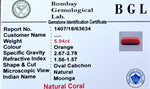 Red Coral Certificate