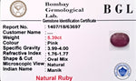 Ruby Certificate