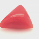 Red Coral 360 Degree Video