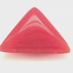 Red Coral 360 Degree Video