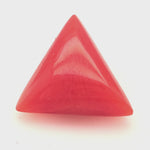 Red Coral 360 Degree Video