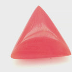 Red Coral 360 Degree Video