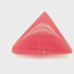 Red Coral 360 Degree Video