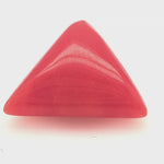 Red Coral 360 Degree Video